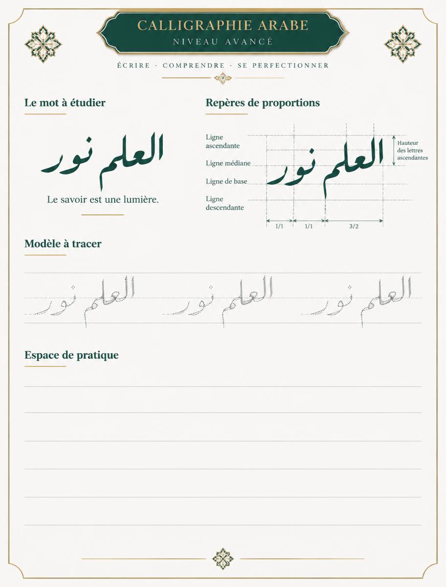 Exemple de page du niveau Avancé